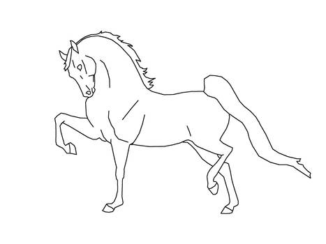 LineArt- Proud Morgan Horse