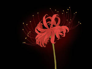 Cosmiclazanya Hobbyist Digital Artist Deviantart Cosmiclazanya Hobbyist Digital Artist Deviantart