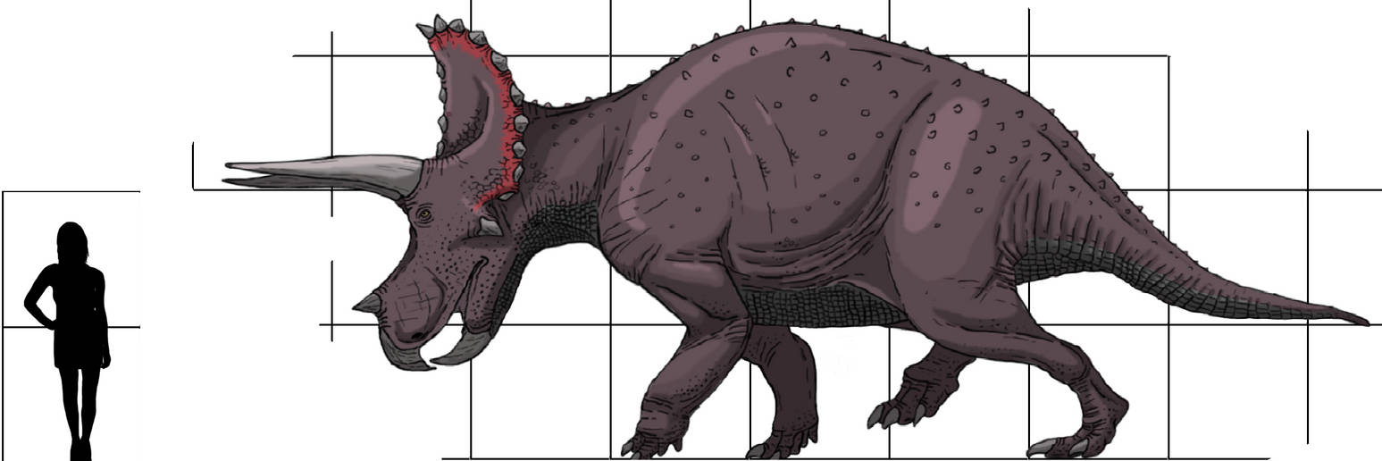 Phalanx by Ikechi1 on DeviantArt