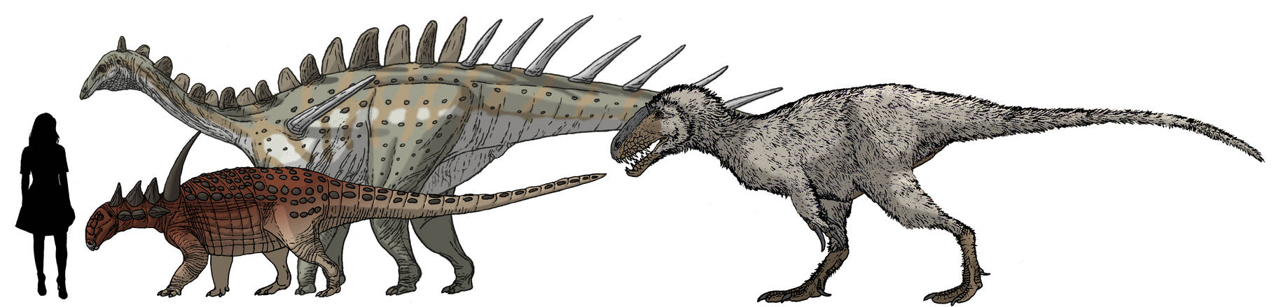 Suchosaurus Size Experiments Size Chart 4 by Ikechi1 on DeviantArt