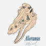 Alioramus flat sketch