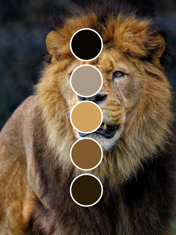lion colour palette by BachtheOtter on DeviantArt