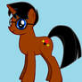 Me as a Pony