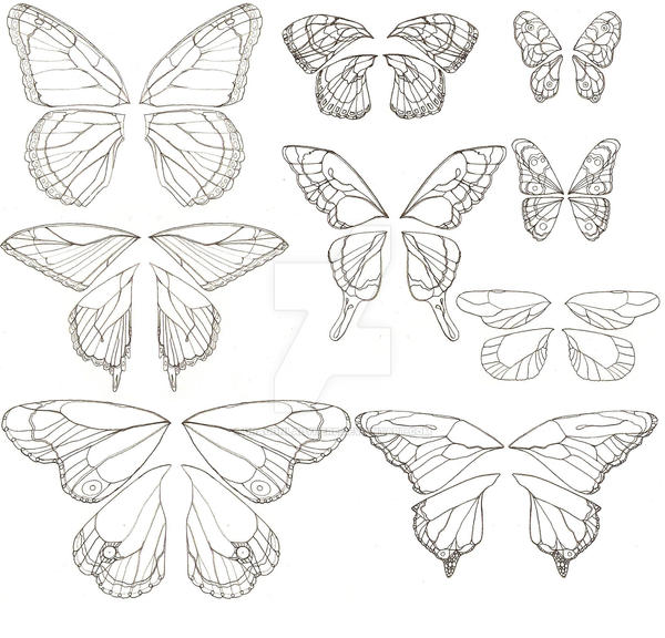 Buttrerfly Design Butterfly Wings Designs by DragonLadyhere on DeviantArt