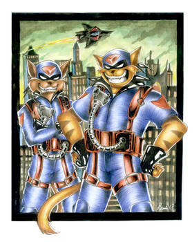 Swat Kats