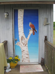 ARC Door - American Kestrel