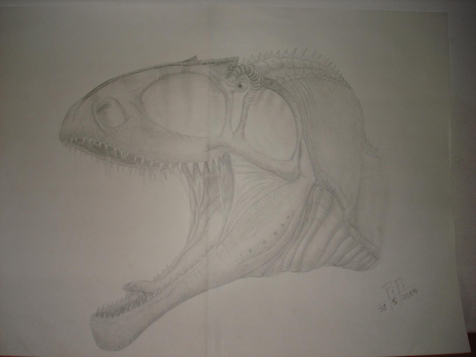 Giganotosaurus carolinii