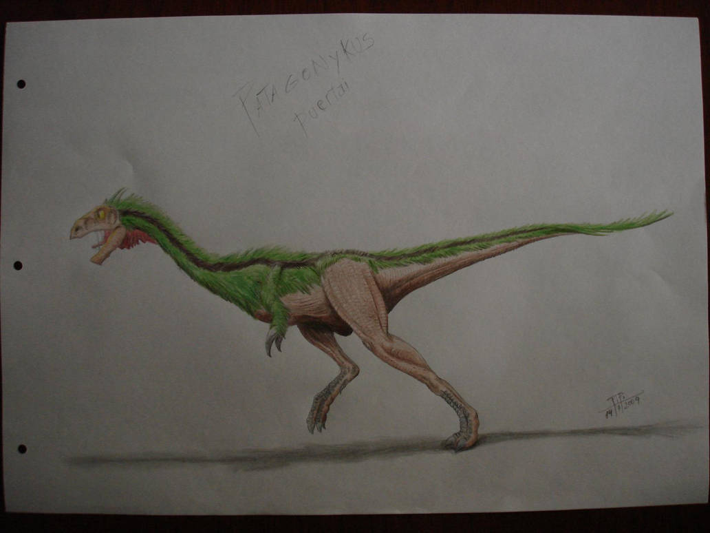 Patagonykus puertai by Giganotosaur