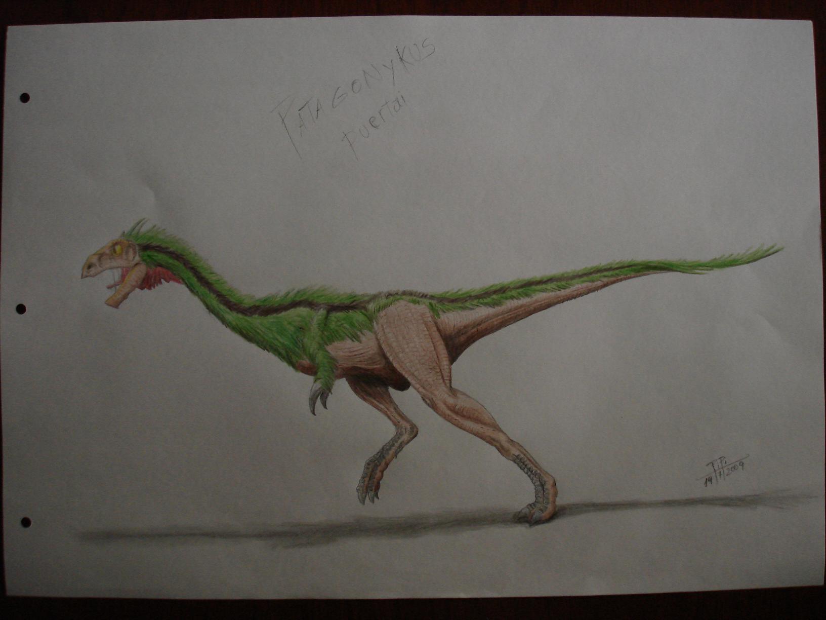Patagonykus puertai by Giganotosaur