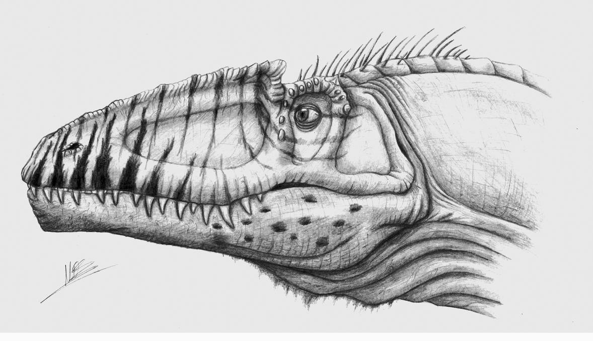 Tyrannotitan by Giganotosaur