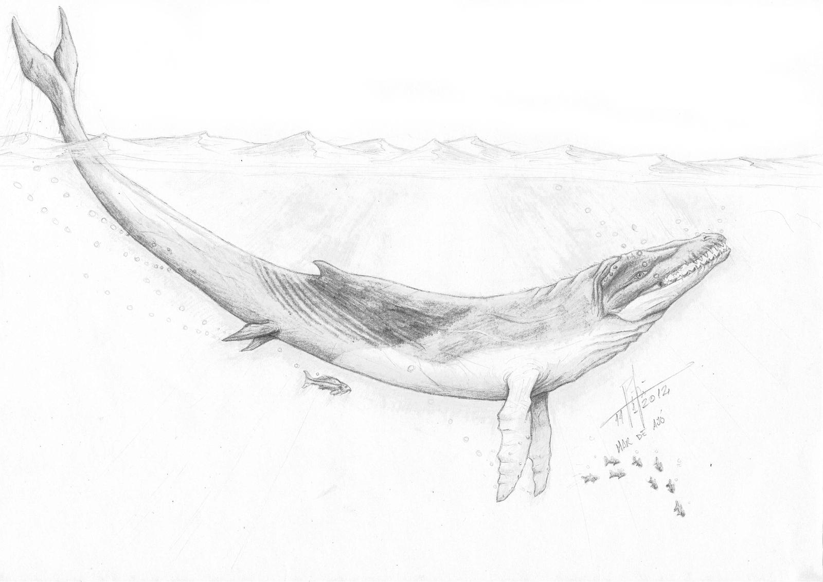 Basilosaurus Deviantart Basilosaurus by Giganotosaur on DeviantArt