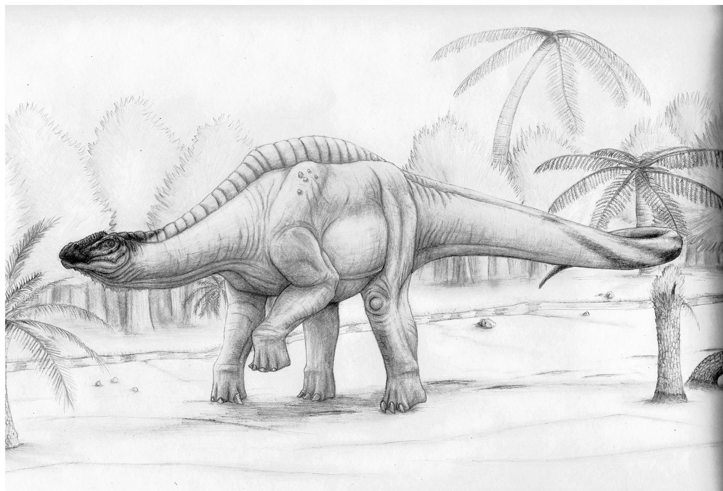 Brachytrachelopan
