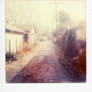 Polaroid March2014 008