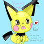 Pichu loves cookies