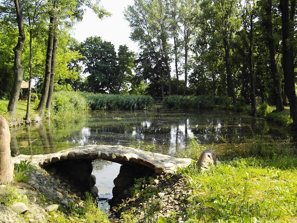 Pond