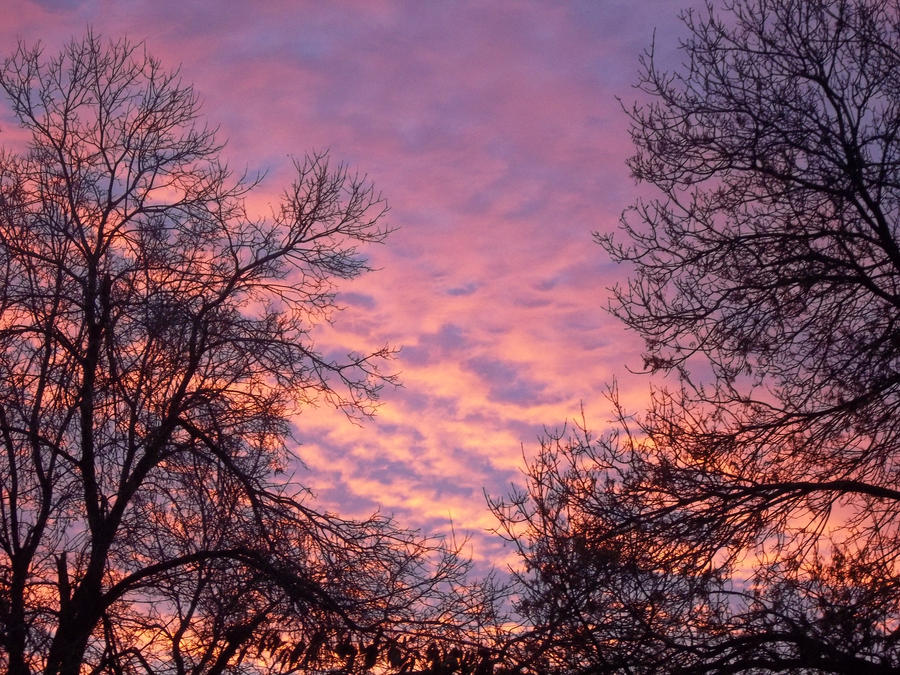 Montana Winter Sunrise