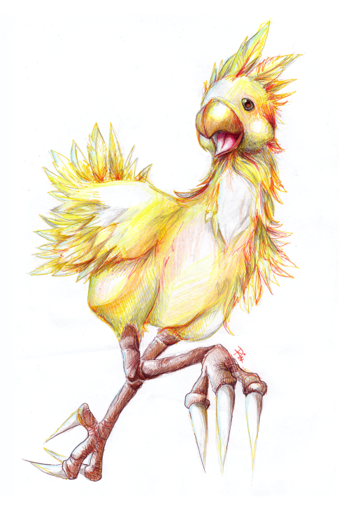 Chocobo go go