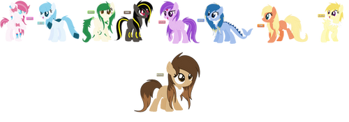 Eevee Evolution Ponymon Adopts (CLOSED)