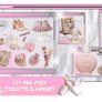 PNG PACK COQUETTE ELEMENTS