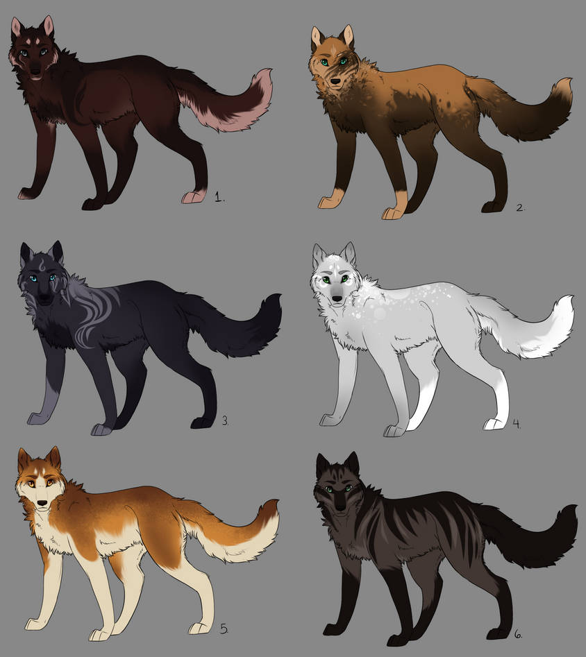 Wolf Colors Chart
