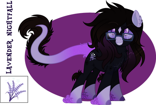 :19-20 PONYSONA REF: Lavender Nightfall