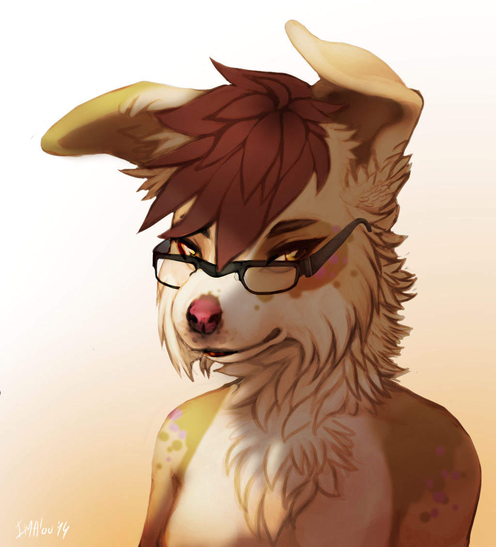 Dimwitdo DimWitDog by Imalou on DeviantArt