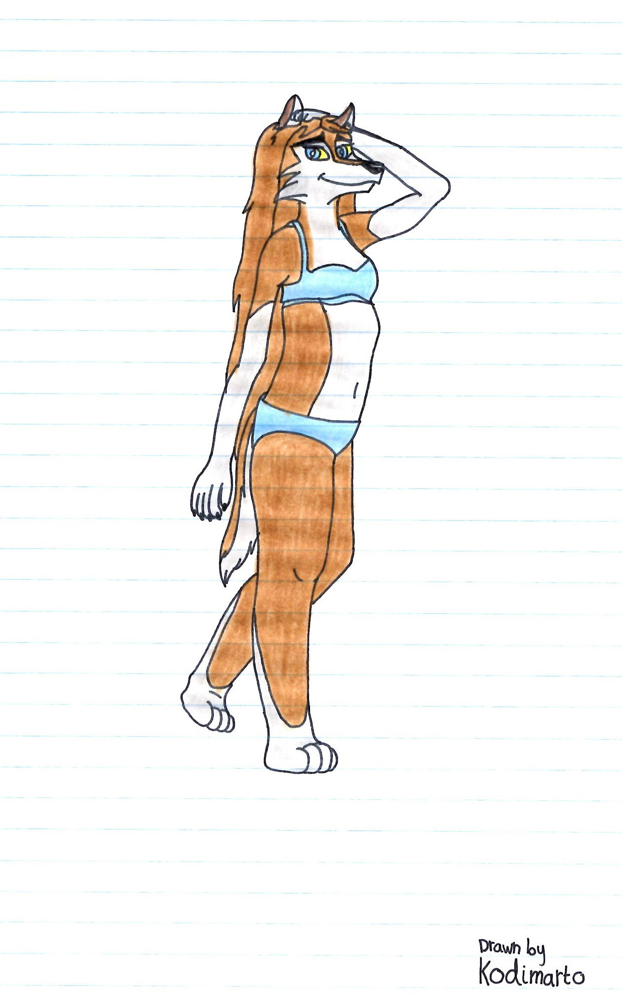 Swimsuit Aleu