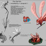 RainWorld Hybrids: The Darter