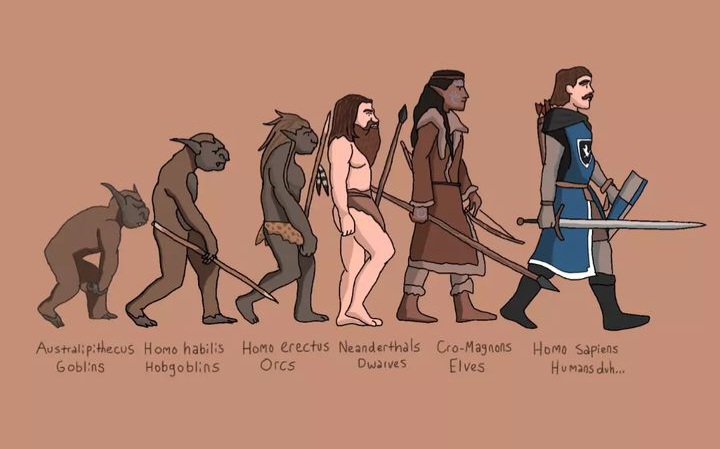 Common Fantasy Races Fantasy races evolution by fictionsmithart on DeviantArt