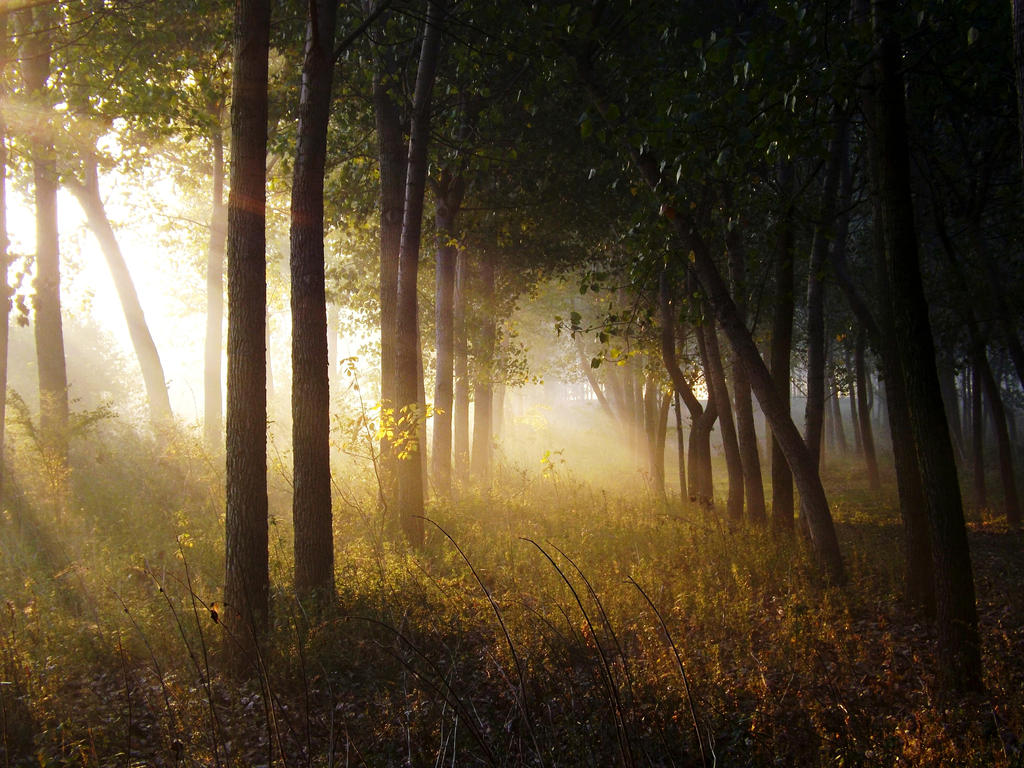 Shuma by NBobic on DeviantArt