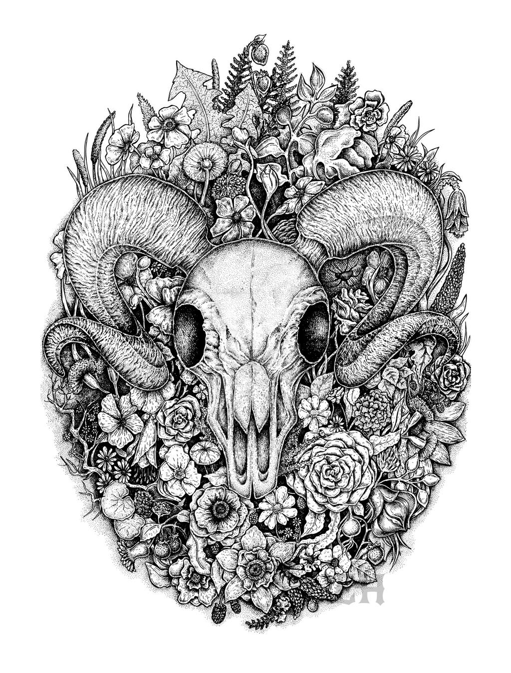 Ram Skull by SolveigEugenia on DeviantArt