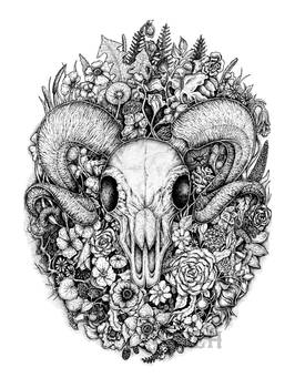 Ram Skull