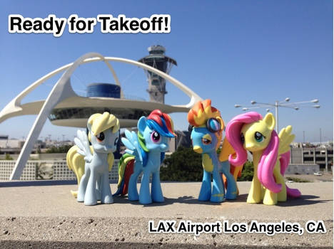 Ponies at LAX