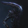 Xenomorph Royalty