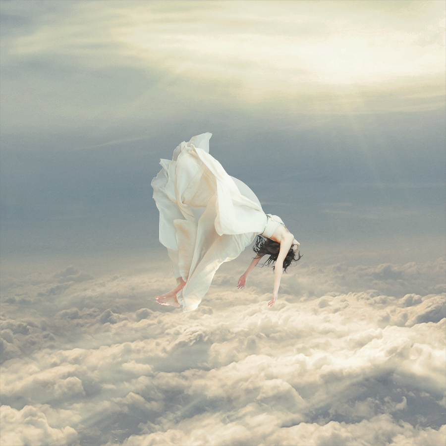 Free Falling Dream