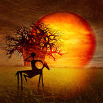 Visions of fire by RGDart