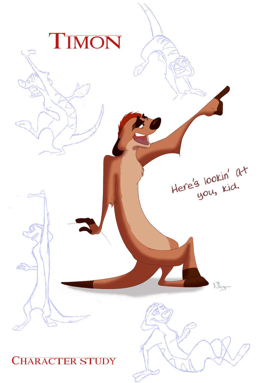 Timon Profiles Timon Character Study by Nollaig on DeviantArt