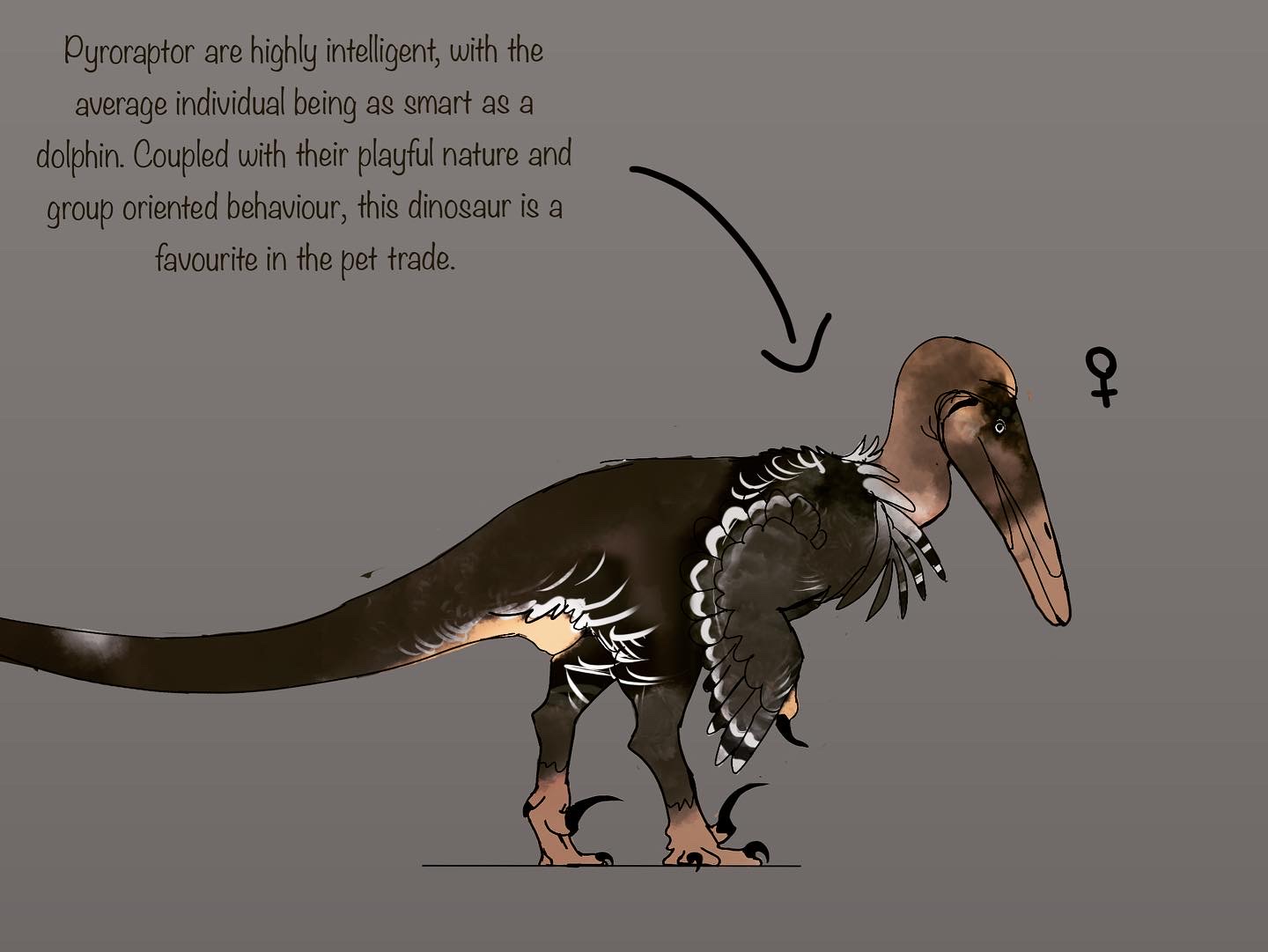 Pyroraptor urbanis (female variant) by PrehistoriaWildlife on DeviantArt