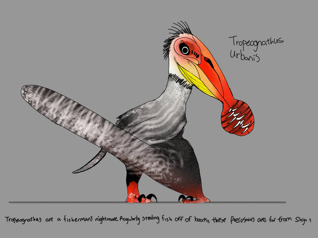 Tropeognathus by PrehistoriaWildlife on DeviantArt