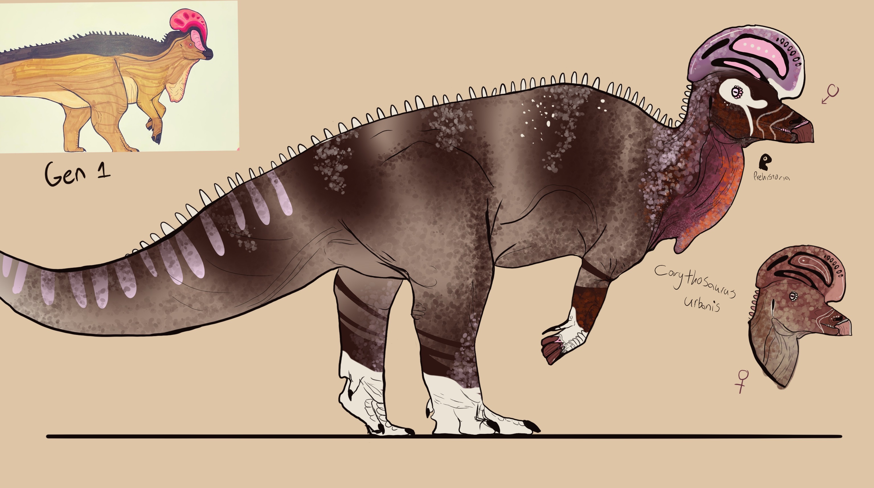Corythosaurus By PrehistoriaWildlife On DeviantArt corythosaurus-by-prehistoriawildlife-on-deviantart