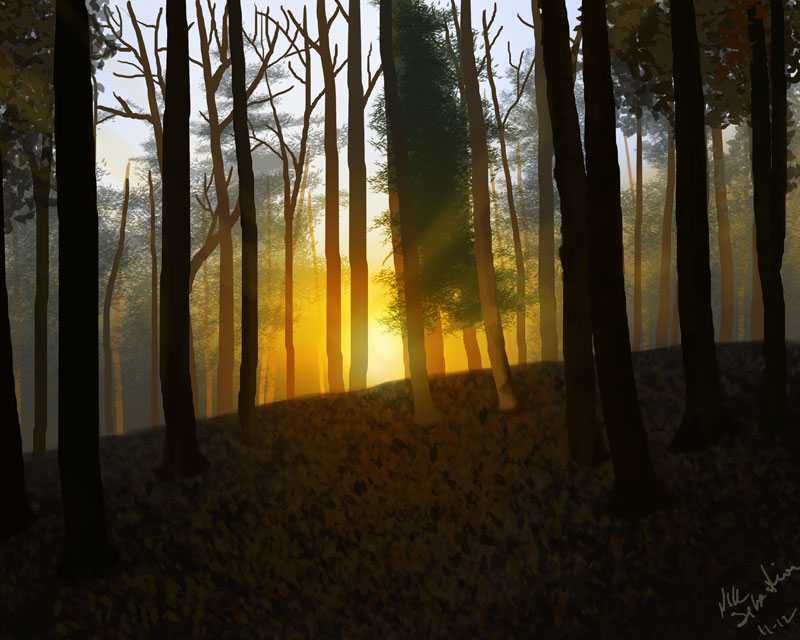 Forest Sunset