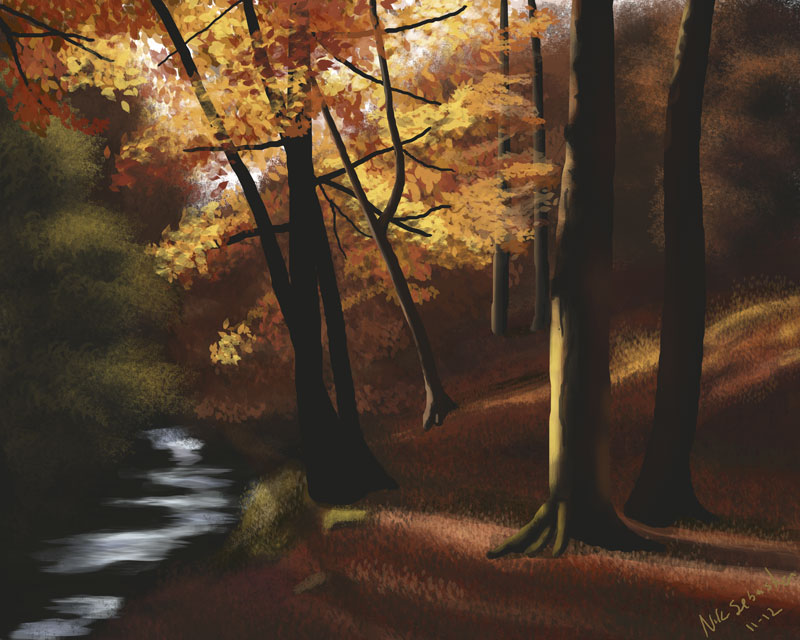 Autumn Forest