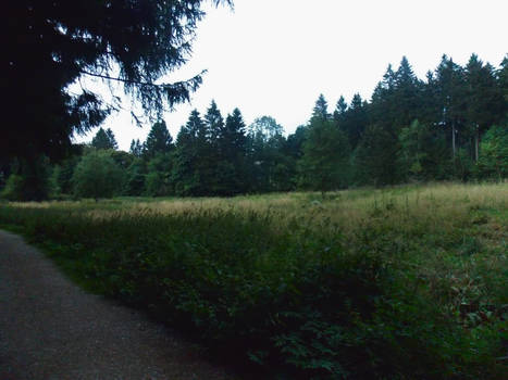 Die Hand Voller Asse Doch Die Welt Spielt Schach Die Hand