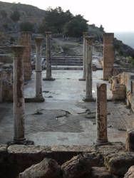 'the city of Cyrene', Libya