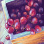 Painting Study: Grapes