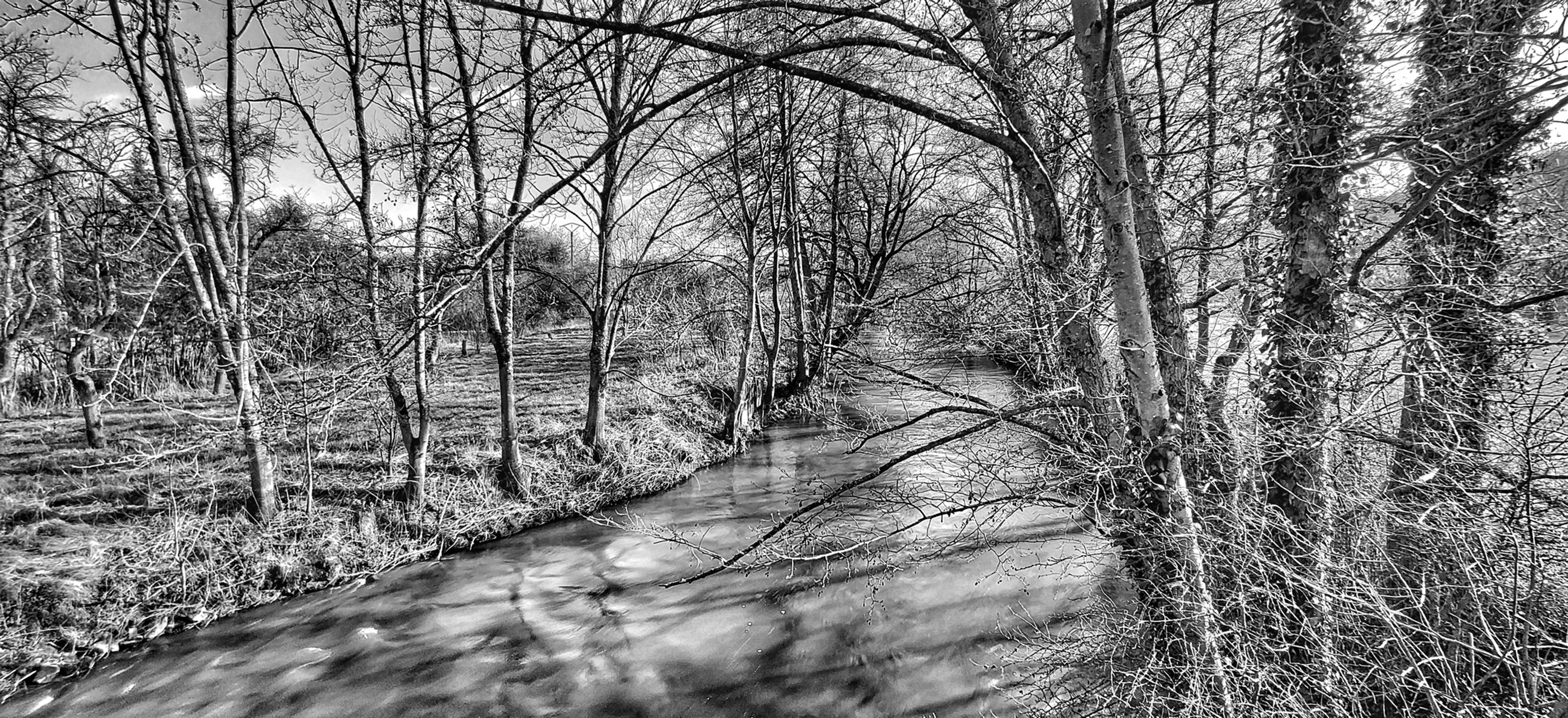 River Nied monochrome