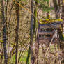 Abandoned hunting watchtower in the woods