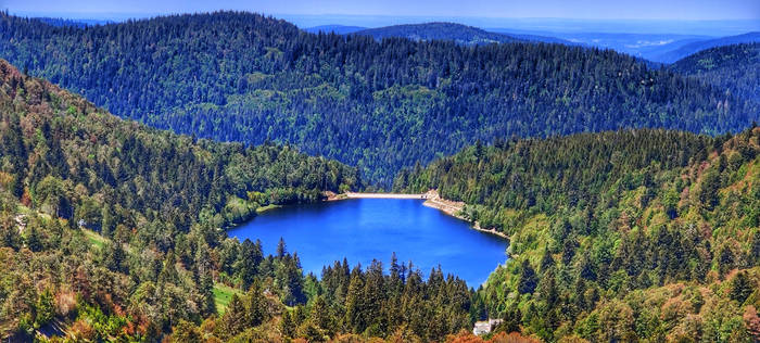 Lac de la Lande, Vosges