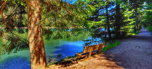 On the shore of the idyllic Crows Lake (Vosges)