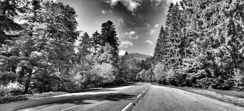 Driving through the Vosges mountains